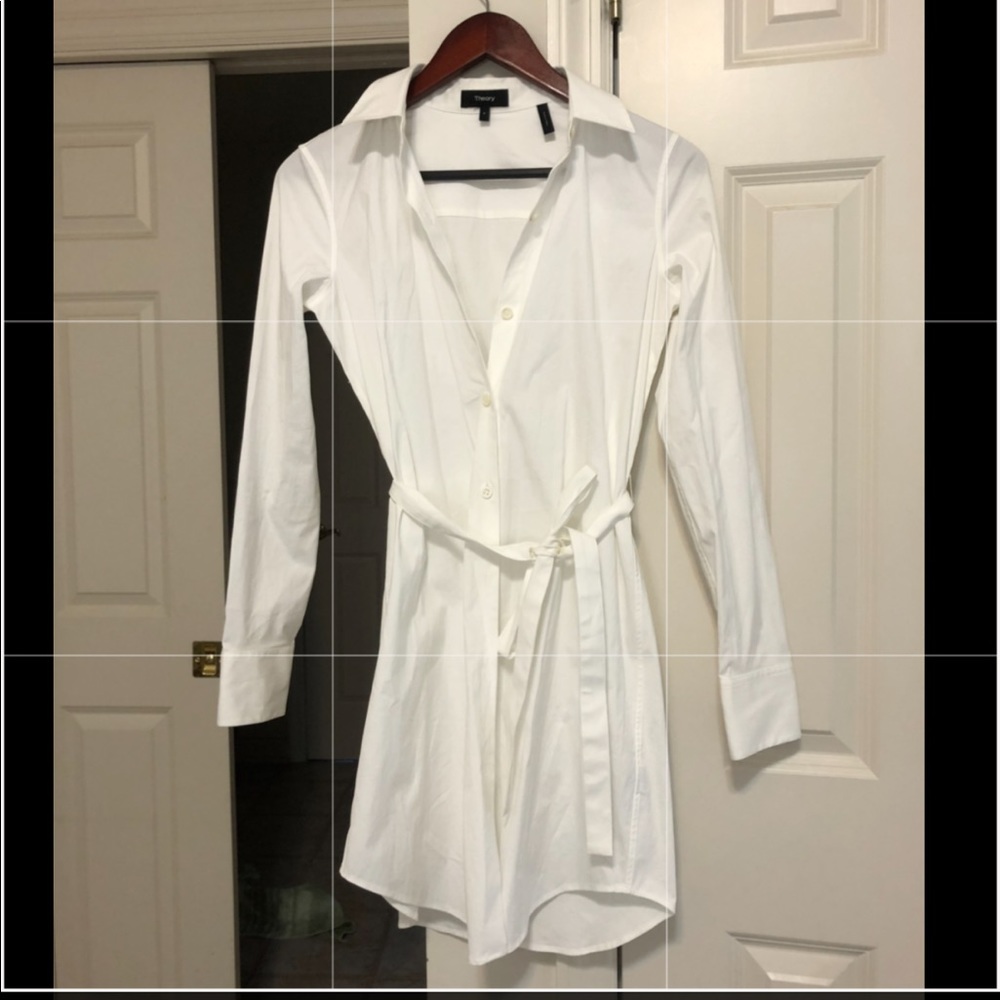 Theory longsleeves dress